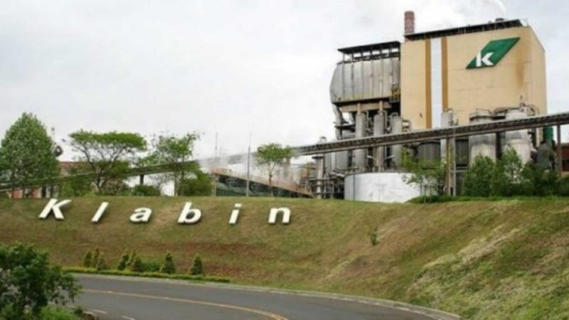 Klabin (KLBN11) lança produto de celulose fluff com mix de fibras
