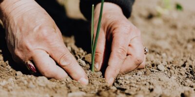 Agronegócio: Veja 6 formas de investir no campo sem tirar o pé da cidade