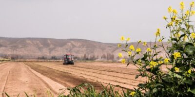 Plano Safra 2022/2023 terá R$ 340,8 bi para a agropecuária, alta de 36%
