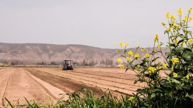 Plano Safra 2022/2023 terá R$ 340,8 bi para a agropecuária, alta de 36%