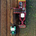 Exportações e dólar forte impulsionam agronegócio, aponta BB