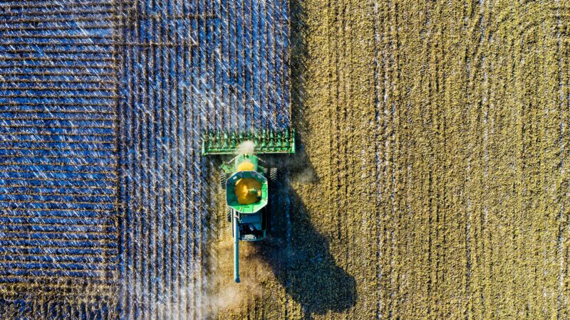 FII BTRA11 troca inquilino de fazenda e prevê aumento de receita