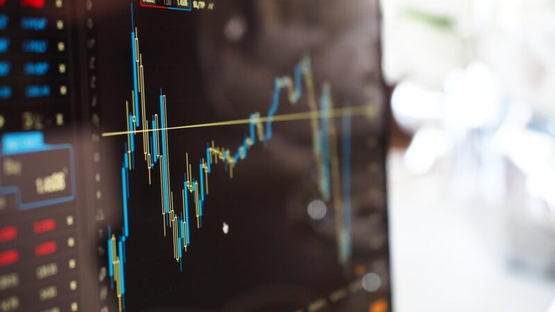 Eletrobras (ELET3) lidera altas de junho no Ibovespa; apenas quatro ações subiram no mês