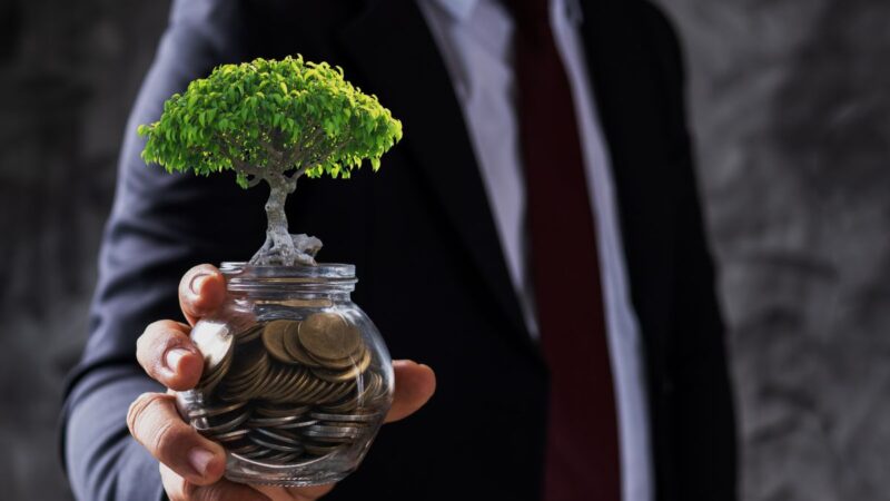 XPCA11: Fiagro anuncia maior resultado em 8 meses e paga dividendos de R$ 0,11 por cota