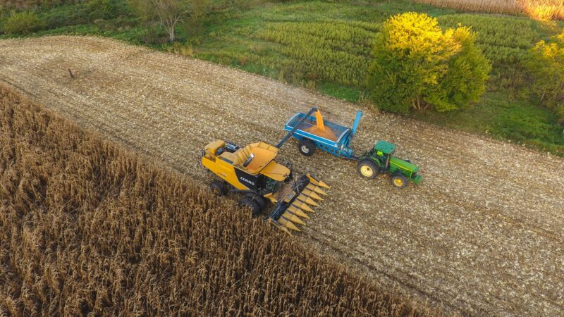 BrasilAgro (AGRO3) fecha venda de fazenda em GO por R$ 417,8 milhões