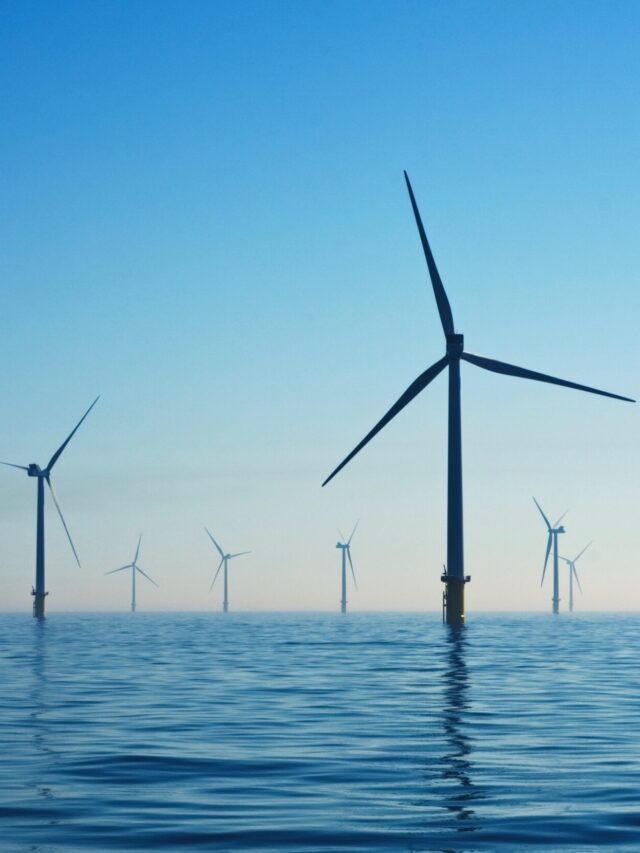 Veja 4 formas de investir em energia renovável