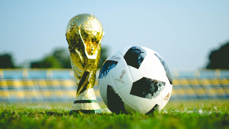 Bolão Vip: Veja como participar de bolão online da Copa do Mundo 2022 de forma segura