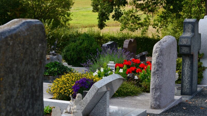 Fundo imobiliário de cemitérios: vem aí um concorrente para o CARE11?