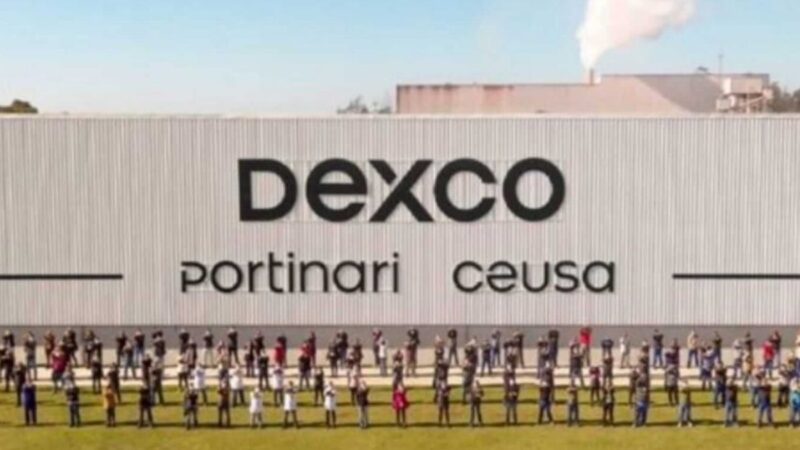 Lucro da Dexco (DXCO3) no 4T22 cai 62,5%, para R$ 217,8 milhões