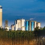 Suzano (SUZB3) alcança maior receita líquida da história no 1T25, mas EBITDA recua