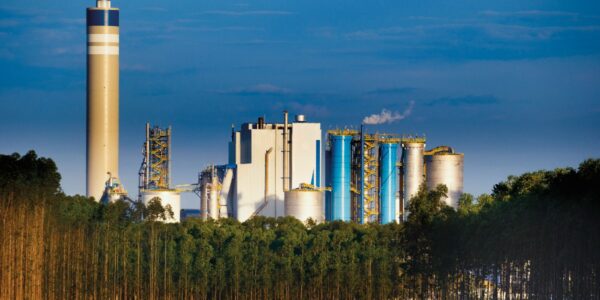 Suzano (SUZB3) alcança maior receita líquida da história no 1T25, mas EBITDA recua