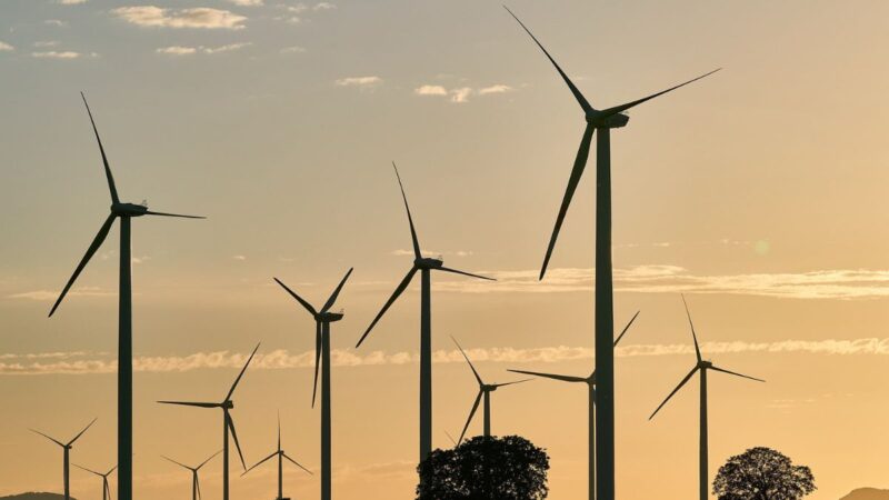 Eletrobras (ELET3) e Shell fecham parceria para projetos de energia eólica no Brasil