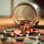 SNFF11 anuncia dividendos com retorno de quase 1% ao mês; confira quanto