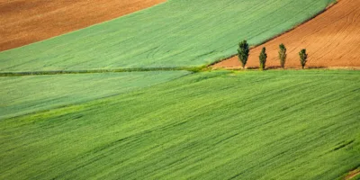 Fiagro cai no gosto do mercado com ganhos acima do CDI e fomento ao agronegócio