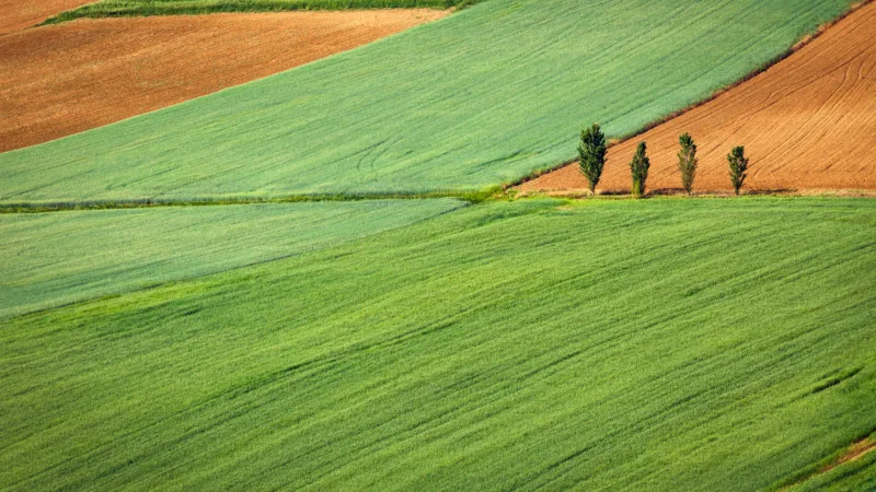 Fiagro cai no gosto do mercado com ganhos acima do CDI e fomento ao agronegócio