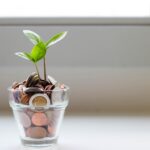 SNCI11: “novo patamar de dividendos do fundo é sustentável”, diz CIO