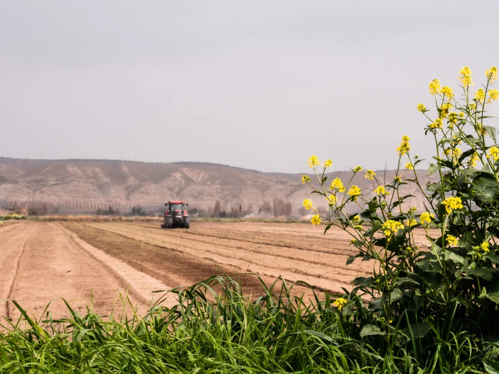 SNAG11: Fiagro da Suno. Foto: Unsplash SANTANDER SANB11 DIVIDENDOS CAIXA SEGURIDADE CXSE3