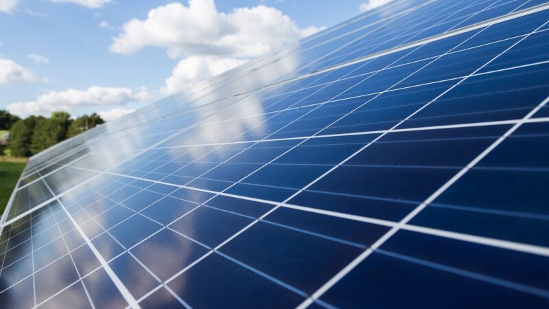 O ano em energia limpa: eólica, solar e baterias crescem apesar dos desafios econômicos