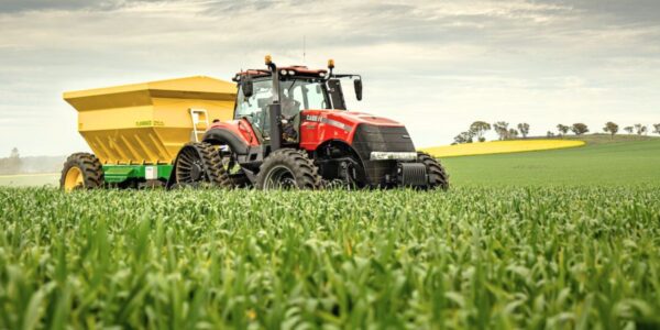 Boa Safra: lucro líquido cresce 108% no primeiro trimestre