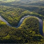 Créditos de carbono: XP analisa expectativas e vê cenário promissor para o mrcado