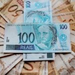 Os dividendos do VISC11 já foram divulgados; confira quanto será pago