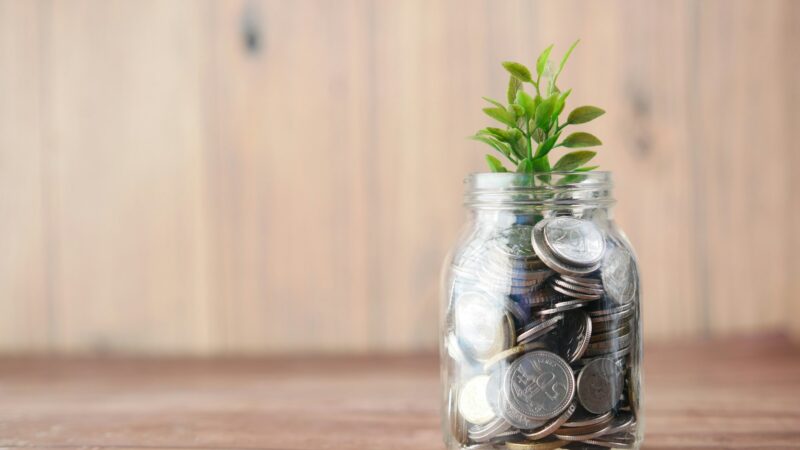 Independência financeira: veja três dicas da Status Invest Assessoria para atingir esse objetivo