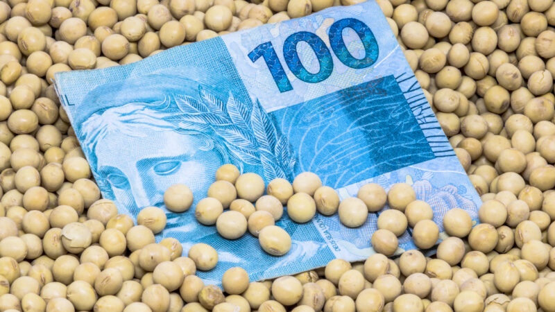 Fiagro corta dividendos em 52%; confira mais valores anunciados nesta sexta (30)