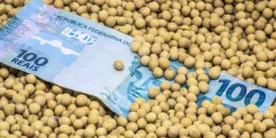 Fiagros anunciam dividendos: veja valores e datas de pagamento