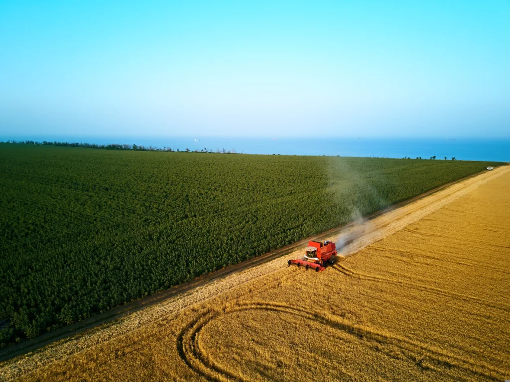 Fiagros: como o setor tem reagido ao aperto no mercado de crédito agrícola?
