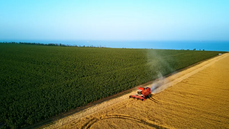 Fiagros: como o setor tem reagido ao aperto no mercado de crédito agrícola?
