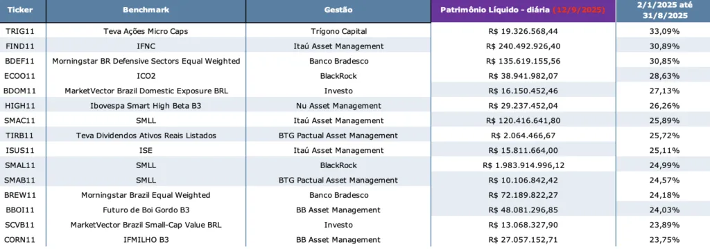 ETFs com maiores retornos no ano. Foto: divulgação.