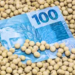 Nova tributação de investimentos impacta o agronegócio; veja opinião de especialistas