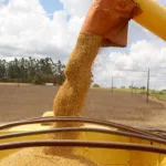 Safra recorde vem aí: como o investidor pode se beneficiar do crescimento do agro?