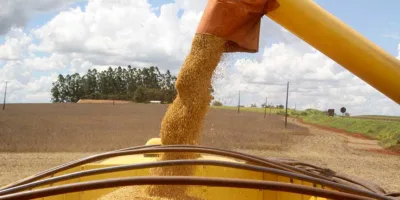 Safra recorde vem aí: como o investidor pode se beneficiar do crescimento do agro?
