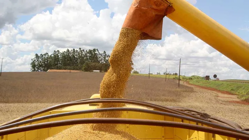 Safra recorde vem aí: como o investidor pode se beneficiar do crescimento do agro?