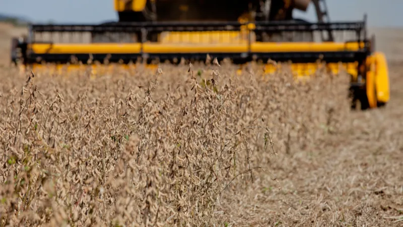 SLC Agrícola (SLCE3) divulga projeções da safra 2025/2026; BBA avalia guidance
