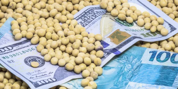 Fiagro AAZQ11 anuncia dividendos com yield de 1,44%; confira quem poderá receber