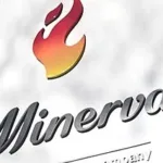 Por que a Minerva (BEEF3) deixou de ser ‘top pick’ da XP? Entenda