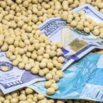 SNAG11 aumenta dividendos para valor recorde em sua história, com yield de 1,35% ao mês