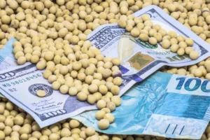 SNAG11 amplia resultado em novembro e preserva estabilidade em dividendos