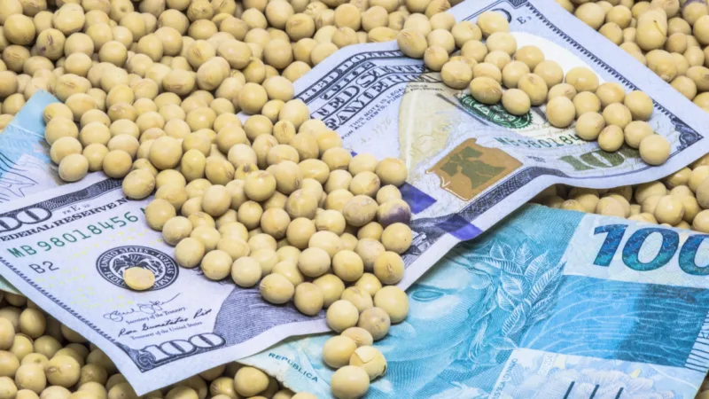 SNAG11 aumenta dividendos para valor recorde em sua história, com yield de 1,35% ao mês