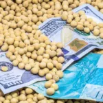 SNAG11 renova máxima e se fortalece como fonte de crédito para o agronegócio