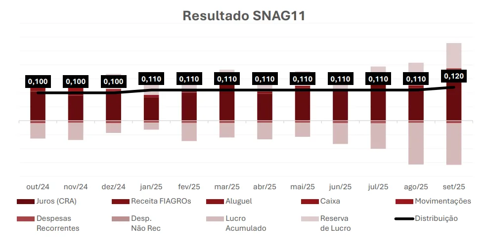 SNAG11 - dados sobre resultados nos últimos 12 meses