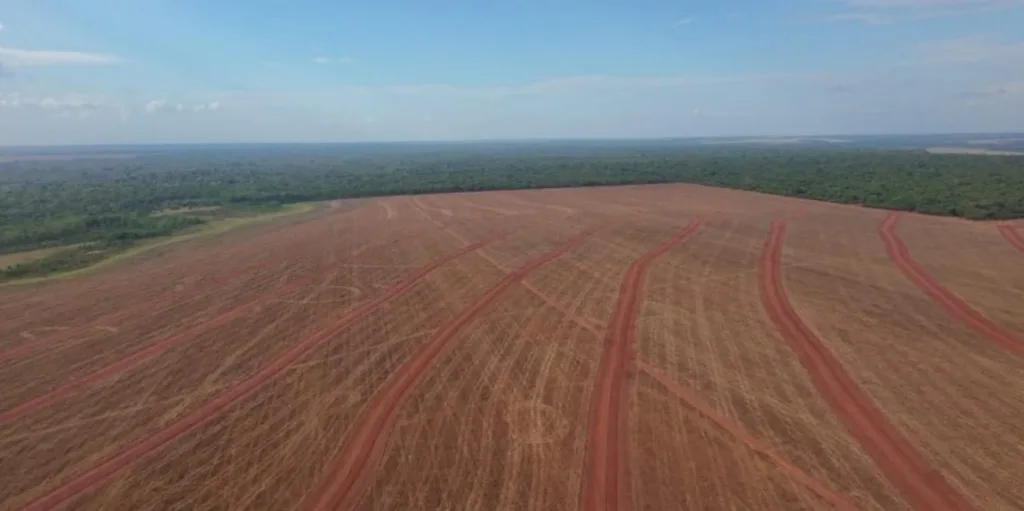 SNFZ11 Fazenda Coliseu
