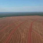 SNFZ11 mantém dividendos pelo quinto mês consecutivo; veja quem pode receber