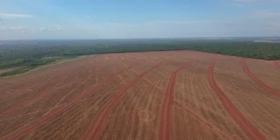 SNFZ11 mantém dividendos pelo quinto mês consecutivo; veja quem pode receber