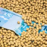 SNFZ11 mantém dividendos em patamar recorde em meio a processo de crescimento