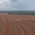 SNFZ11 dobra liquidez e vê aumento constante da base de cotistas