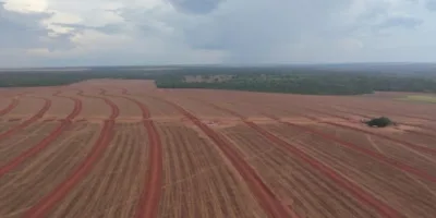 SNFZ11 dobra liquidez e vê aumento constante da base de cotistas