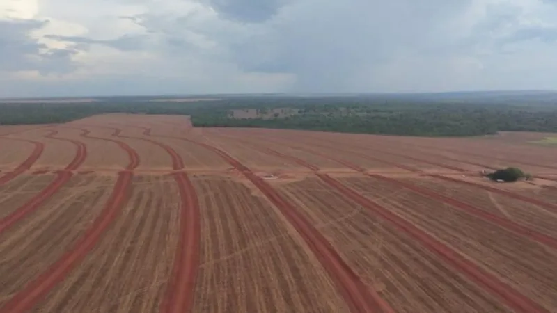 SNFZ11 dobra liquidez e vê aumento constante da base de cotistas